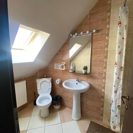 Guest house Pensiunea Sandra 3*