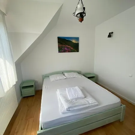 Guest house Pensiunea Sandra 3*