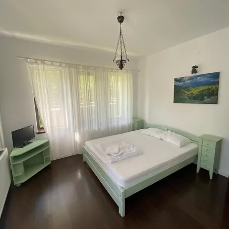 Guest house Pensiunea Sandra 3*